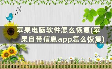 苹果电脑软件怎么恢复(苹果自带信息app怎么恢复)