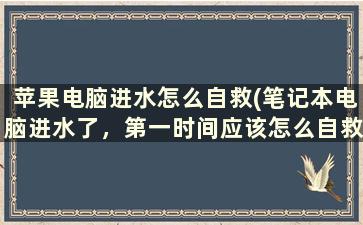 苹果电脑进水怎么自救(笔记本电脑进水了，第一时间应该怎么自救)