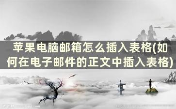 苹果电脑邮箱怎么插入表格(如何在电子邮件的正文中插入表格)