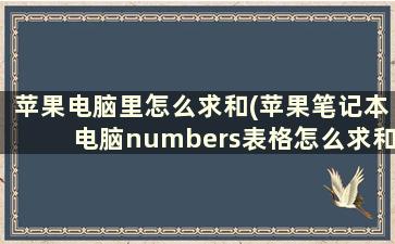 苹果电脑里怎么求和(苹果笔记本电脑numbers表格怎么求和)