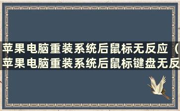 苹果电脑重装系统后鼠标无反应（苹果电脑重装系统后鼠标键盘无反应）