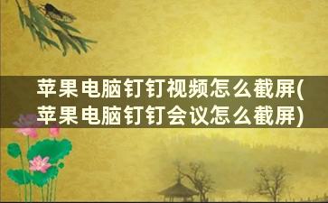 苹果电脑钉钉视频怎么截屏(苹果电脑钉钉会议怎么截屏)