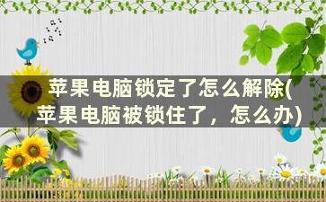 苹果电脑锁定了怎么解除(苹果电脑被锁住了，怎么办)