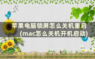 苹果电脑锁屏怎么关机重启(mac怎么关机开机启动)