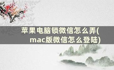 苹果电脑锁微信怎么弄(mac版微信怎么登陆)