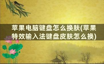 苹果电脑键盘怎么换肤(苹果特效输入法键盘皮肤怎么换)