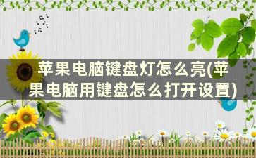 苹果电脑键盘灯怎么亮(苹果电脑用键盘怎么打开设置)