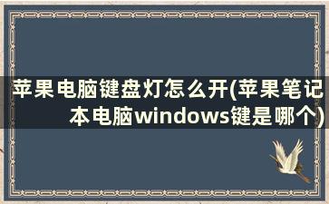 苹果电脑键盘灯怎么开(苹果笔记本电脑windows键是哪个)