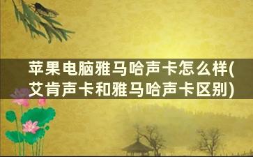 苹果电脑雅马哈声卡怎么样(艾肯声卡和雅马哈声卡区别)