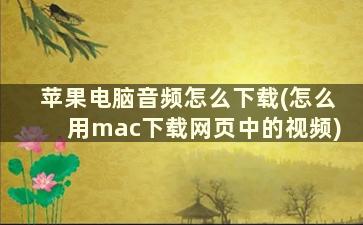 苹果电脑音频怎么下载(怎么用mac下载网页中的视频)