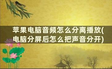 苹果电脑音频怎么分离播放(电脑分屏后怎么把声音分开)