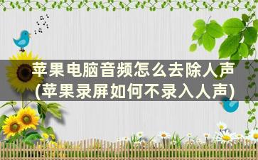 苹果电脑音频怎么去除人声(苹果录屏如何不录入人声)