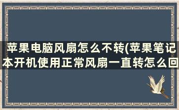 苹果电脑风扇怎么不转(苹果笔记本开机使用正常风扇一直转怎么回事)