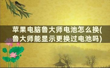 苹果电脑鲁大师电池怎么换(鲁大师能显示更换过电池吗)