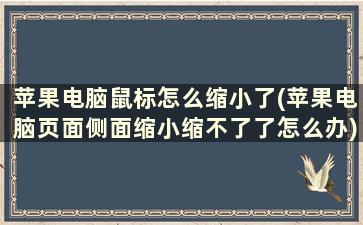 苹果电脑鼠标怎么缩小了(苹果电脑页面侧面缩小缩不了了怎么办)