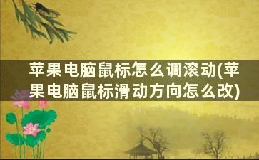 苹果电脑鼠标怎么调滚动(苹果电脑鼠标滑动方向怎么改)