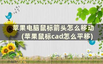 苹果电脑鼠标箭头怎么移动(苹果鼠标cad怎么平移)