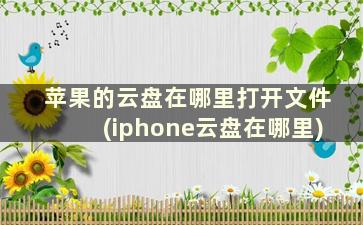 苹果的云盘在哪里打开文件(iphone云盘在哪里)