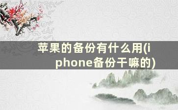 苹果的备份有什么用(iphone备份干嘛的)