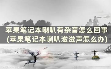 苹果笔记本喇叭有杂音怎么回事(苹果笔记本喇叭滋滋声怎么办)