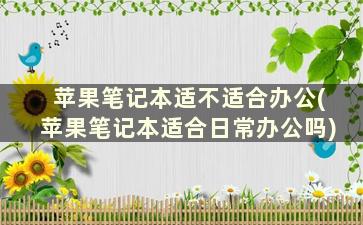 苹果笔记本适不适合办公(苹果笔记本适合日常办公吗)