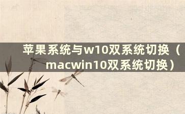 苹果系统与w10双系统切换（macwin10双系统切换）