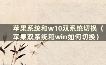 苹果系统和w10双系统切换（苹果双系统和win如何切换）