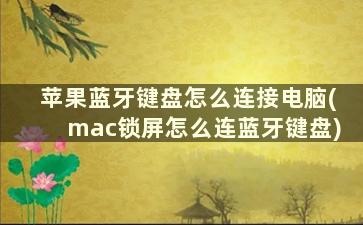 苹果蓝牙键盘怎么连接电脑(mac锁屏怎么连蓝牙键盘)