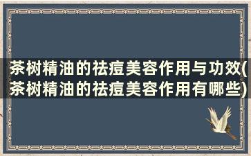 茶树精油的祛痘美容作用与功效(茶树精油的祛痘美容作用有哪些)