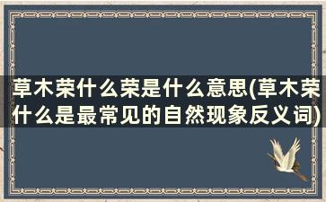 草木荣什么荣是什么意思(草木荣什么是最常见的自然现象反义词)