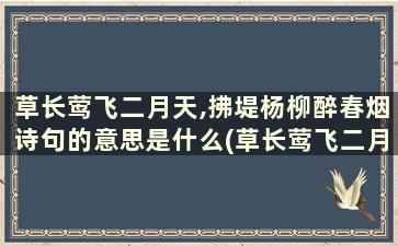 草长莺飞二月天,拂堤杨柳醉春烟诗句的意思是什么(草长莺飞二月天,拂堤杨柳醉春烟朗读)