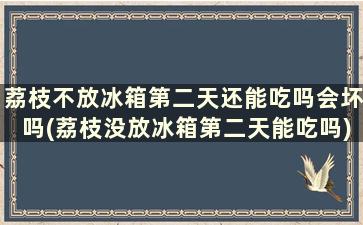 荔枝不放冰箱第二天还能吃吗会坏吗(荔枝没放冰箱第二天能吃吗)