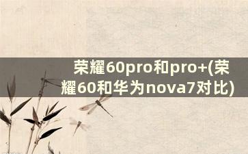 荣耀60pro和pro+(荣耀60和华为nova7对比)