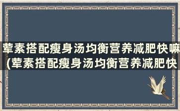 荤素搭配瘦身汤均衡营养减肥快嘛(荤素搭配瘦身汤均衡营养减肥快还是慢)