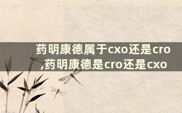 药明康德属于cxo还是cro,药明康德是cro还是cxo