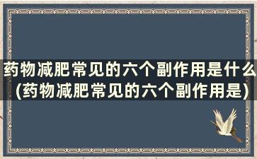 药物减肥常见的六个副作用是什么(药物减肥常见的六个副作用是)