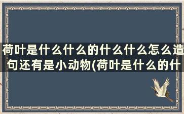 荷叶是什么什么的什么什么怎么造句还有是小动物(荷叶是什么的什么怎么造句)