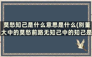 莫愁知己是什么意思是什么(别董大中的莫愁前路无知己中的知己是什么意)