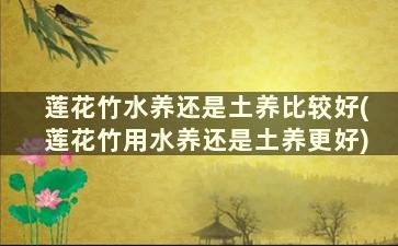 莲花竹水养还是土养比较好(莲花竹用水养还是土养更好)