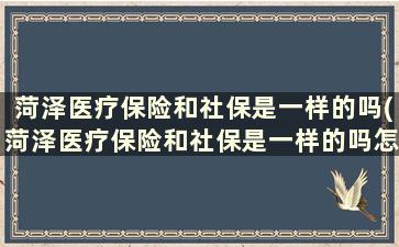 菏泽医疗保险和社保是一样的吗(菏泽医疗保险和社保是一样的吗怎么交)