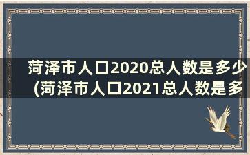 菏泽市人口2020总人数是多少(菏泽市人口2021总人数是多少)