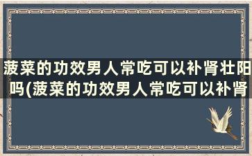 菠菜的功效男人常吃可以补肾壮阳吗(菠菜的功效男人常吃可以补肾嘛)