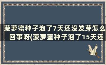 菠萝蜜种子泡了7天还没发芽怎么回事呀(菠萝蜜种子泡了15天还没发芽)