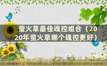 萤火草最佳魂控组合（2020年萤火草哪个魂控更好）