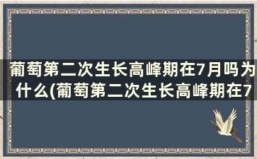 葡萄第二次生长高峰期在7月吗为什么(葡萄第二次生长高峰期在7月吗对吗)