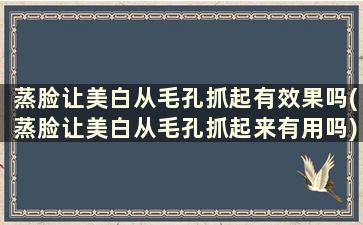 蒸脸让美白从毛孔抓起有效果吗(蒸脸让美白从毛孔抓起来有用吗)