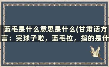 蓝毛是什么意思是什么(甘肃话方言：完球子啦，蓝毛拉，指的是什么)