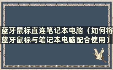 蓝牙鼠标直连笔记本电脑（如何将蓝牙鼠标与笔记本电脑配合使用）