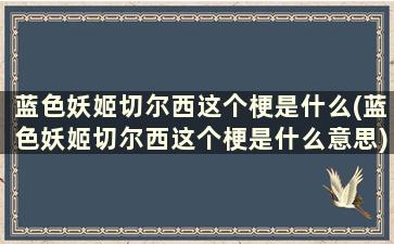 蓝色妖姬切尔西这个梗是什么(蓝色妖姬切尔西这个梗是什么意思)