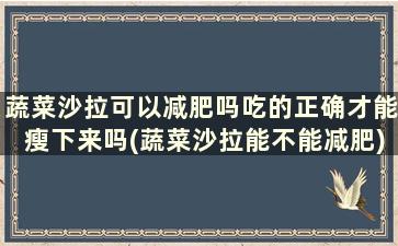 蔬菜沙拉可以减肥吗吃的正确才能瘦下来吗(蔬菜沙拉能不能减肥)